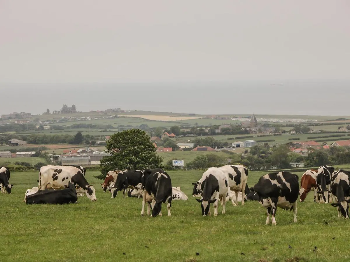 Barn Cottage Whitby Casa vacanze